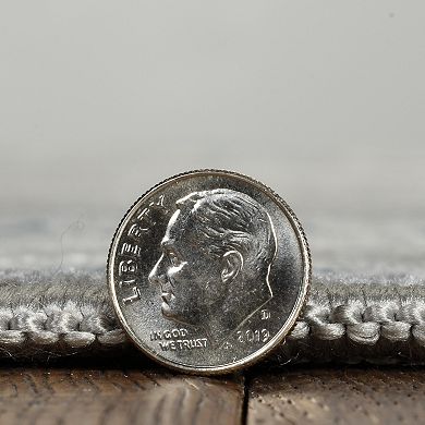 Linon Vintage Belouch Rug