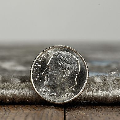 Linon Vintage Clara Rug