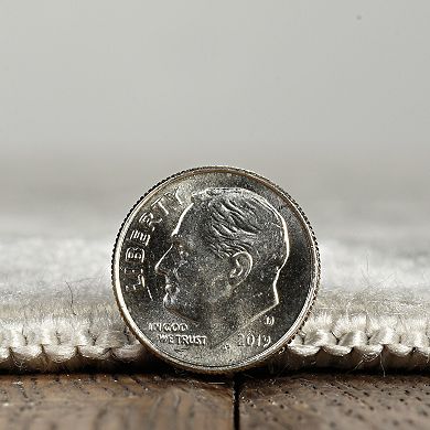 Linon Vintage Ilussion Rug