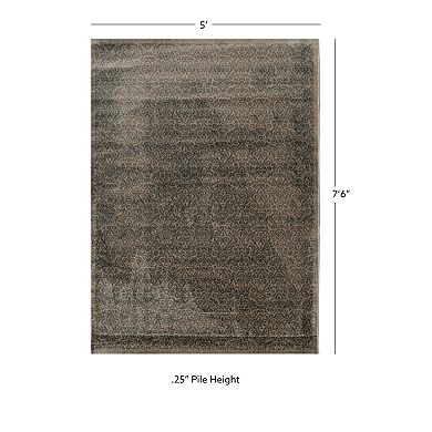 Linon Vintage Ilussion Rug