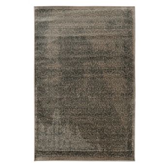 Linon Vintage Ilussion Rug