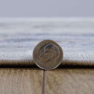 Linon Vintage Isfahan Rug