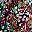 Black Classic Floral