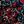 Black Winter Tile