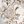 Ivory Mod Paisley