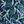 Navy Pine Boughs