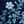 Navy Placed Floral