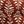 Rust Fresh Tile