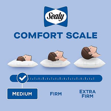 Sealy All Positions Adjustable Support Throw Pillow