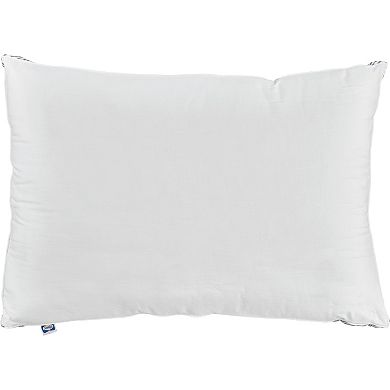 Sealy Firm Support Back/Side Sleeper Cotton Throw Pillow