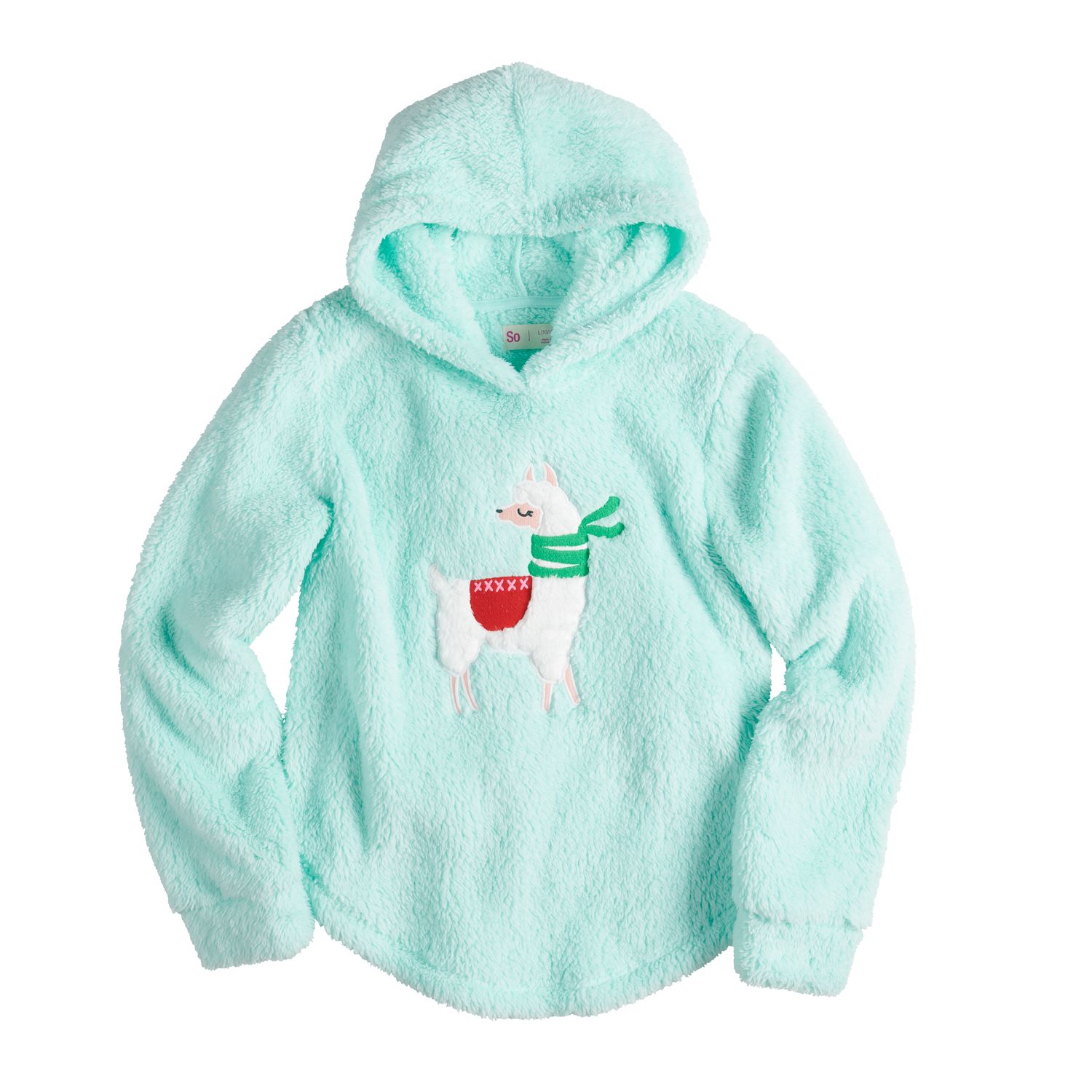 girls light blue hoodie