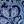 Blue Complex Floral