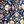 Navy Kind Floral