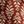 Rust Fresh Tile