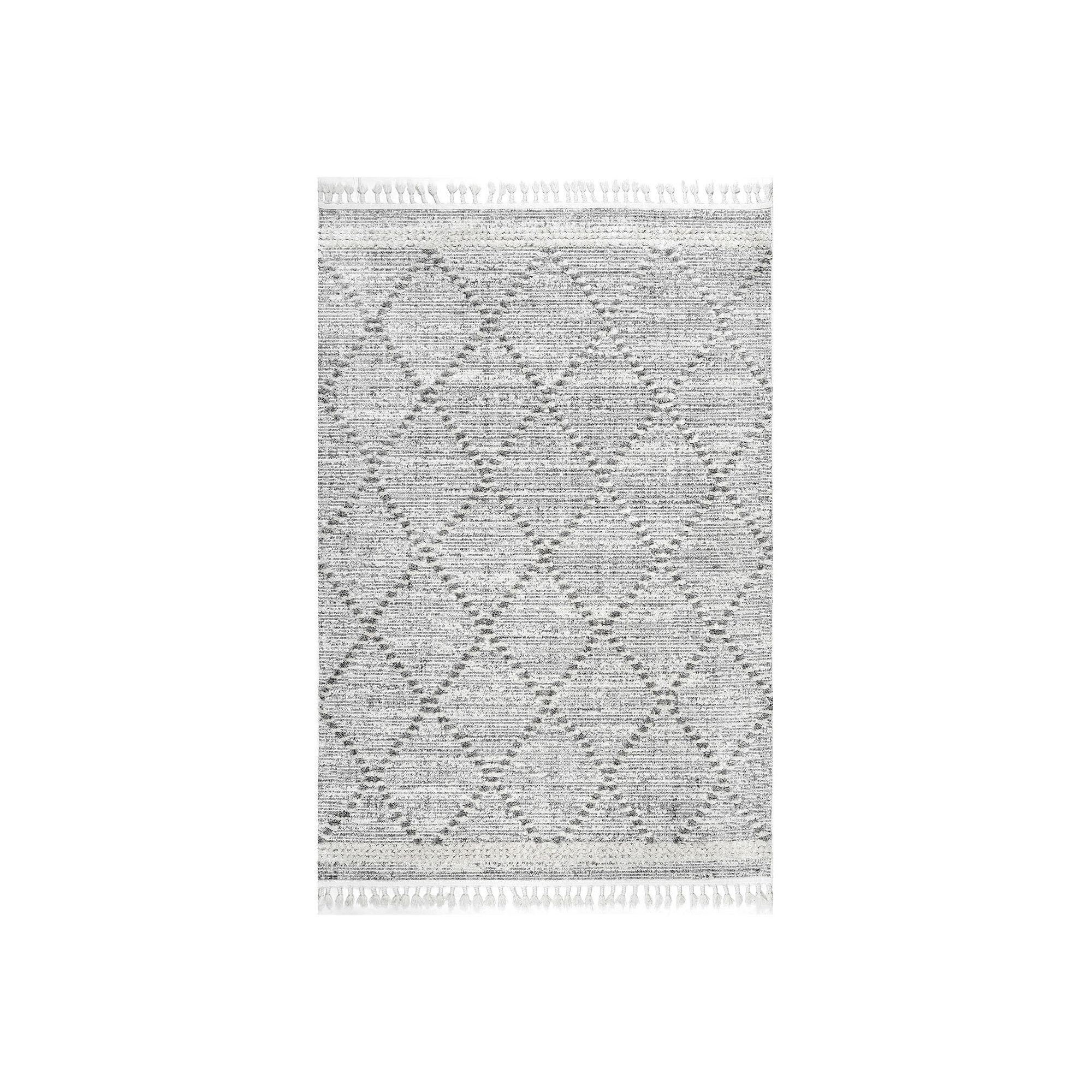 nuLOOM Skylar Textured Trellis Tasseled Area Rug, Beige