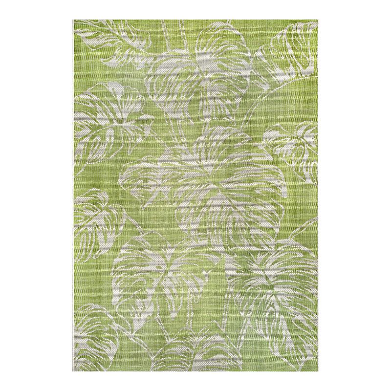 nuLOOM Belle Palm Leaves Indoor/Outdoor Area Rug, Green, 8X11 Ft