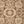 Beige Cream