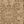 Cream Beige