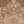 Cream Beige