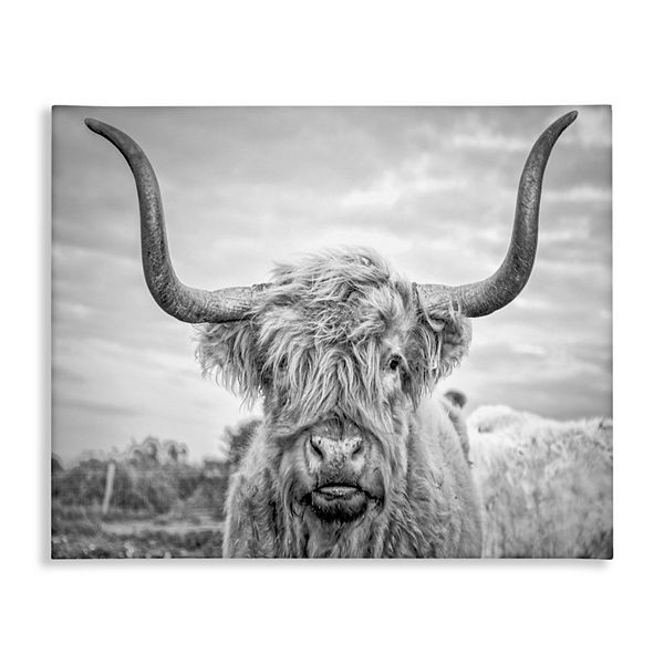 Stupell Home Decor Highland Cow Canvas Wall Art