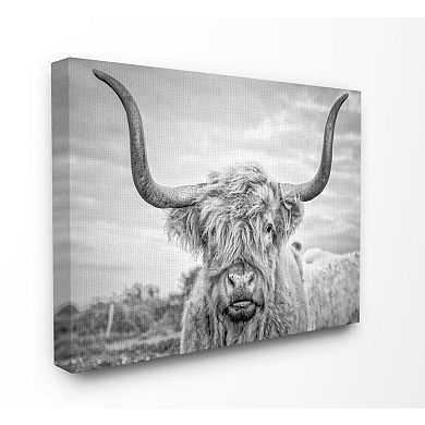 Stupell Home Decor Highland Cow Canvas Wall Art