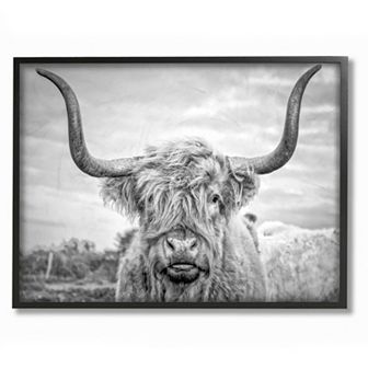 Stupell Home Decor Highland Cow Framed Wall Art