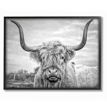 Stupell Home Decor Highland Cow Framed Wall Art