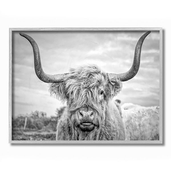 Stupell Home Decor Highland Cow Framed Wall Art - Gray (11X14)