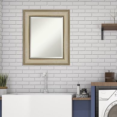 Amanti Art Colonial Framed Bathroom Vanity Wall Mirror