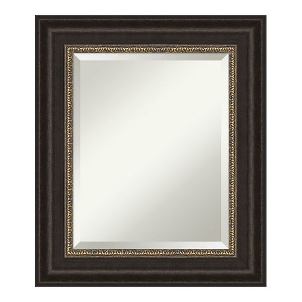 Amanti Art Paragon Framed Bathroom Vanity Wall Mirror