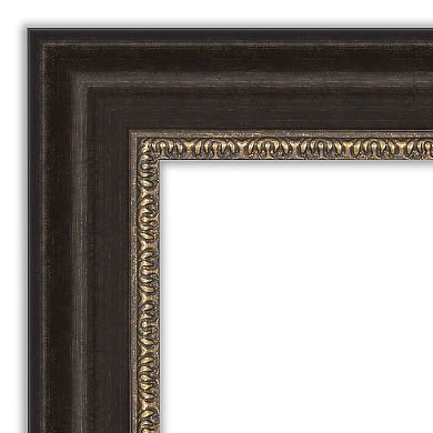 Amanti Art Paragon Framed Bathroom Vanity Wall Mirror