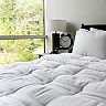 Sealy Soft and Fluffy Comforter
