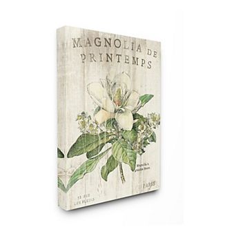 Stupell Home Decor French Magnolias In Spring Canvas Wall Art