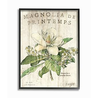 Stupell Home Decor French Magnolias In Spring Framed Giclee Texturized Art