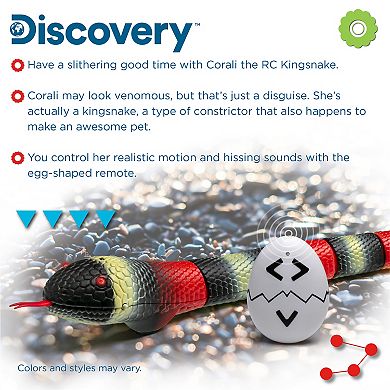 Discovery RC King Snake Remote Control Pet Creature