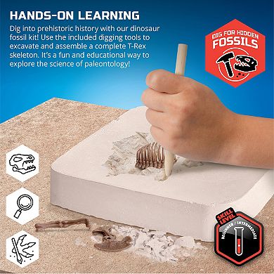 Discovery #Mindblown Dinosaur Fossil Dig T-Rex Excavation Kit