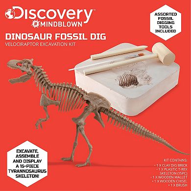 Discovery #Mindblown Dinosaur Fossil Dig T-Rex Excavation Kit