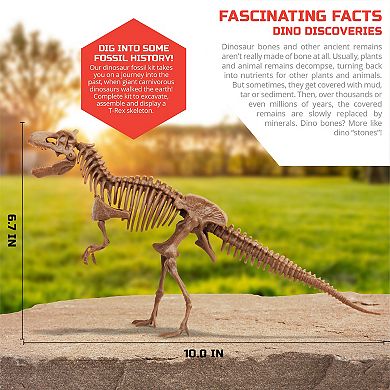 Discovery #Mindblown Dinosaur Fossil Dig T-Rex Excavation Kit