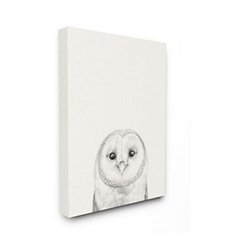 Stupell Home Decor Owl Portrait Canvas Wall Art