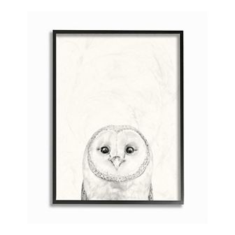 Stupell Home Decor Owl Portrait Framed Wall Art