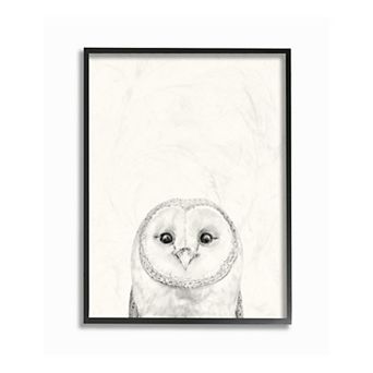 Stupell Home Decor Owl Portrait Framed Wall Art