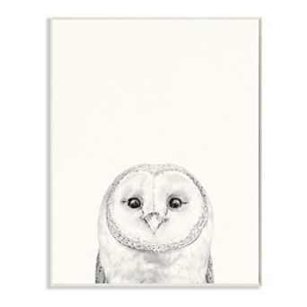 Stupell Home Decor Owl Portrait Plaque Wall Art