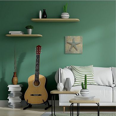 Stupell Home Decor Starfish Beach Canvas Wall Art