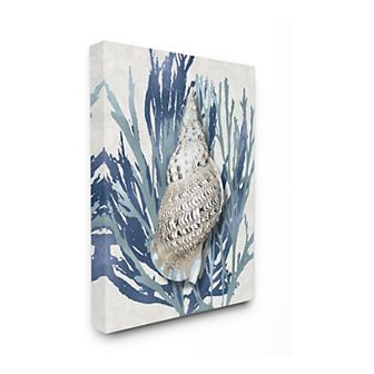 Stupell Home Decor Shell Coral Canvas Wall Art