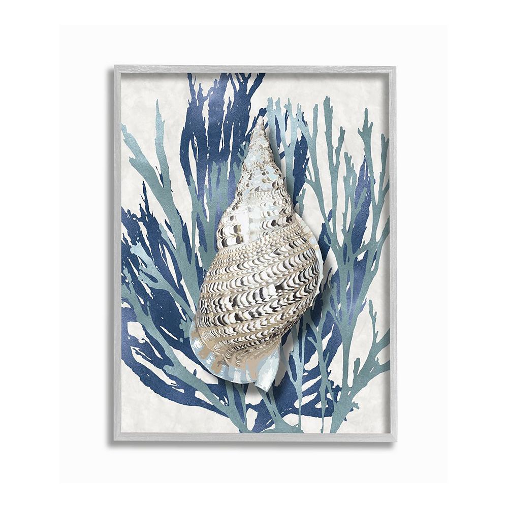 Stupell Home Decor Shell Framed Wall Art