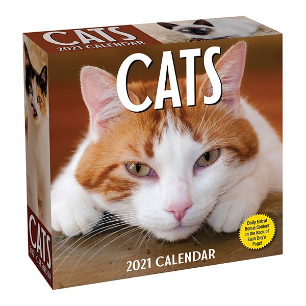 Andrews & Mcmeel Cats 2021 Day-To-Day Calendar