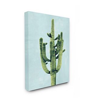 Stupell Home Decor Desert Cactus Canvas Wall Art
