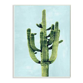Stupell Home Decor Desert Cactus Plaque Wall Art