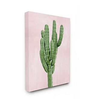 Stupell Home Decor Desert Cactus Succulent Canvas Wall Art