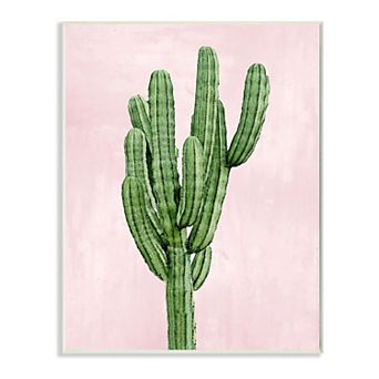 Stupell Home Decor Desert Cactus Succulent Plaque Wall Art